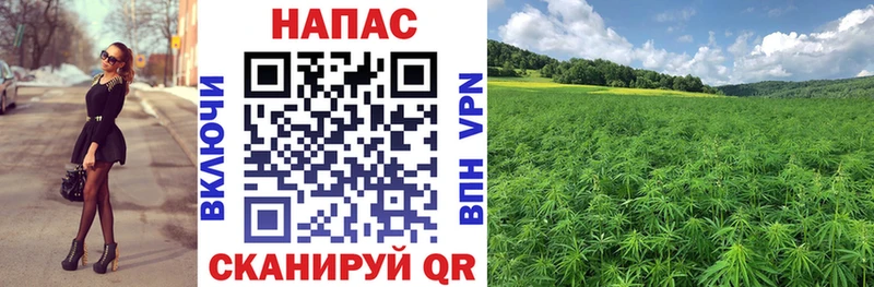 Купить закладку ГАШ  МАРИХУАНА  Alpha-PVP  МЕФ  Кокаин  Сусуман