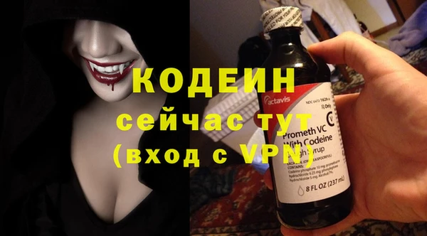 молекула духа Арсеньев