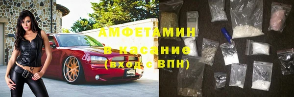 молекула духа Арсеньев
