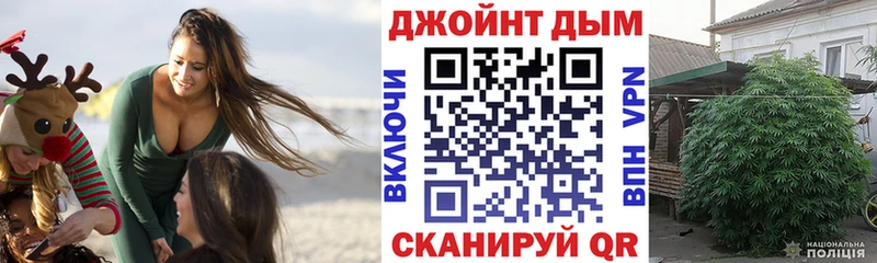 Купить закладки  Сусуман  Марихуана VHQ 